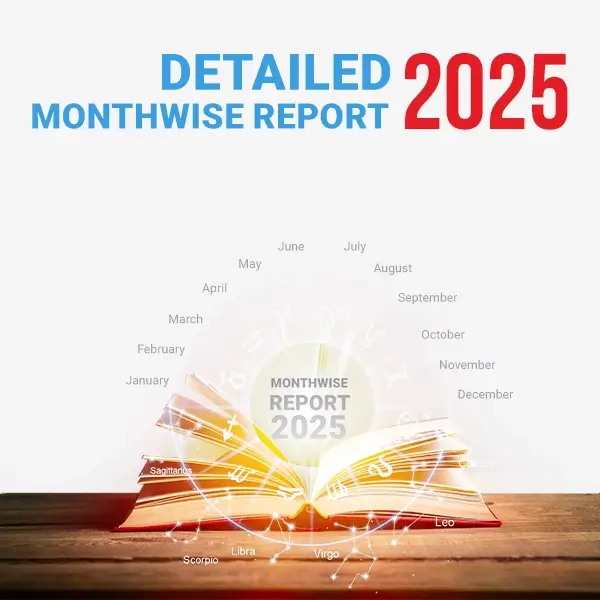 2025_detailed_monthly_reports