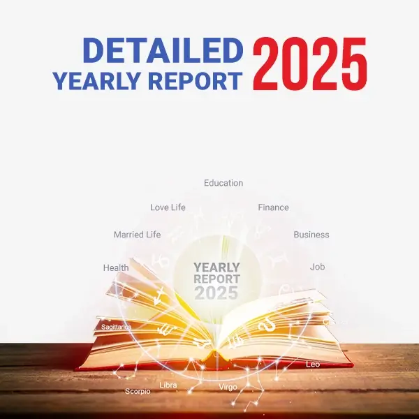 2025_detailed_yearly_reports